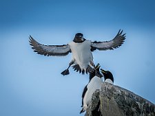 20240405-_OM13923-Forbedret-NR