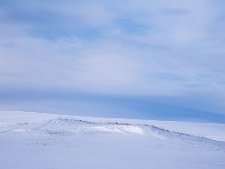 20240406-_OM16964