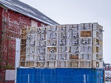 20240407-_OM10251
