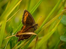 20240801-B8016397-Forbedret-NR