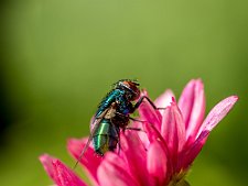 20240902-B9029176