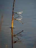20240907-B9072964-Rediger