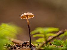 20221013-_OM15271