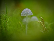 20221105-_OM16248