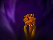 20230416-_OM18030