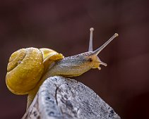 20230512-_OM12531-Edit