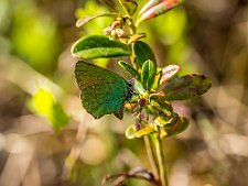 20230616-_OM15329-Edit