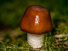 20230826-_OM10742