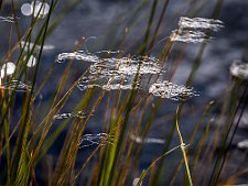 20230826-_OM10894