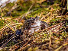 20230417-_OM18286-Edit