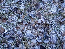 20231031-_OM13741