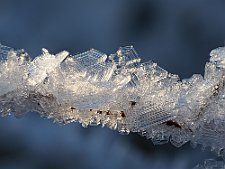 20231031-_OM14012