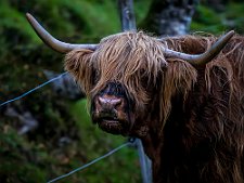 20230928-_OM12909-Forbedret-NR