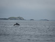 20240806-B8067030 - copy