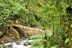 ECUA06201015