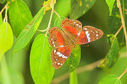 ECUA06201022