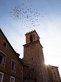 _MG_1325