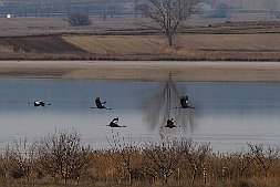 _MG_7877