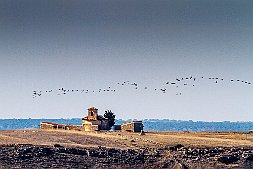 _MG_7960