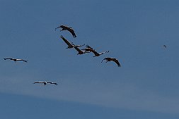 _MG_8024