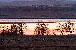 _MG_9074