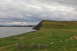 _MG_7340