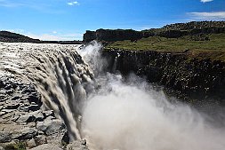 _MG_7446