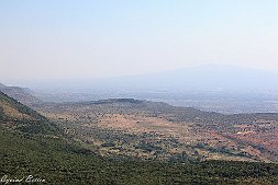 _MG_7659-16
