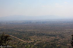_MG_7664-17