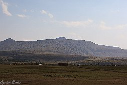 _MG_7679-19