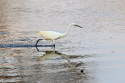 _MG_7688-23
