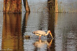 _MG_7691-24