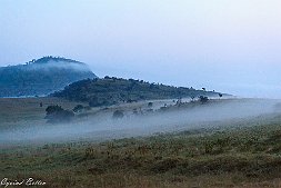 _MG_7698-27