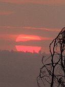 _MG_9549-26