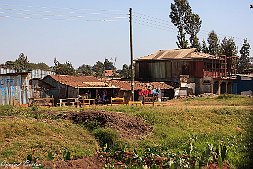 _MG_7603-7
