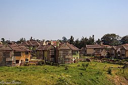 _MG_7615-8