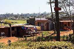 _MG_7654-14