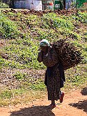 _MG_7655-15