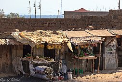 _MG_7674-18