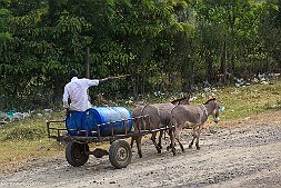 _MG_7682-20