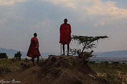 _MG_8924-336