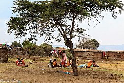 _MG_8931-341