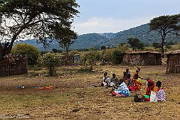 _MG_8934-342
