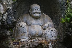 _MG_2445