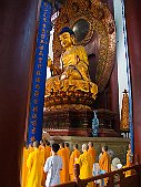 _MG_2481