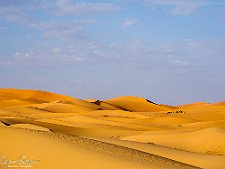 _A110565