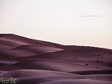_A120779