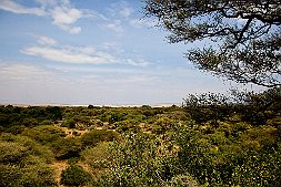 20090703-_MG_4253