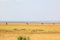 20090703-_MG_4425