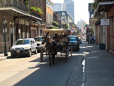 IMG_1198